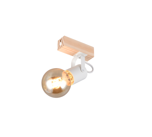R86661031.png