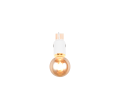 R86661031_2.png