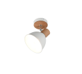 R86671031.png