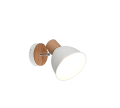 R86671031_1.png