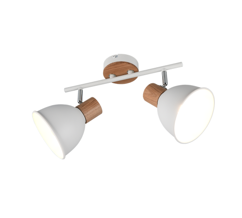 R86672031.png