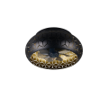 R61574080_1.png