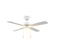 R66592031_1.png