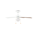 R66592031_6.png