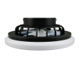 R69222132_3.png