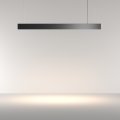 RENDER_Additional_perspective_P051PL_36W2.7_6K_B_low.jpeg