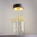 PHOTO_Additional_perspective_MOD229TL_L3B3K1_low.jpeg