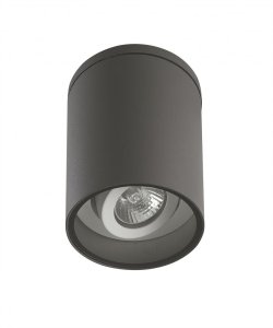 ADELA 7004 DG plafon zewnętrzny 1xGU10 IP54 ciemny popiel