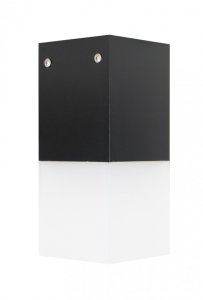 CUBE MAX CB-MAX S BL plafon zewnętrzny 1xE27 IP44 czarny