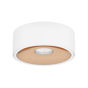 Neo Bianco Slim KG / Ufo Gold oprawa wpuszczana 1xGU10 biały