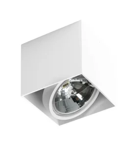 ALEX 12V WH oprawa natynkowa 20W,50W LED biały