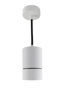 RAFFAEL WHITE lampa wisząca 1xGU10 max 40W biały