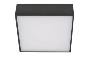 FALCO 12 4000K WHITE oprawa natynkowa 10W LED biały