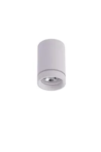 BILL WH oprawa natynkowa 11W LED 4000K biały