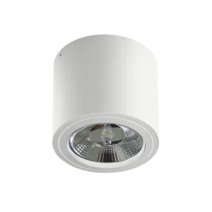 ALIX 230V WH oprawa natynkowa 1xES111 max 50W biały