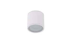ALIX IP65 WH oprawa natynkowa 1xES111 max 50W biały