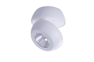 OJOS 1 WH oprawa natynkowa 8W LED 3000K biały