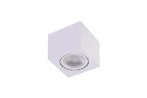ECO ALEX v.2 WH oprawa natynkowa 1xES111 max 50W biały