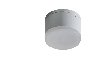APULIA R WH oprawa natynkowa 8W LED 3000K IP54 biały