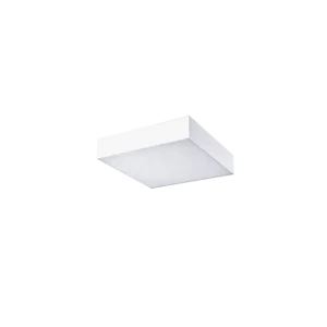 MONZA S 30 CCT WH + REMOTE CONTROL oprawa natynkowa 31W LED biały