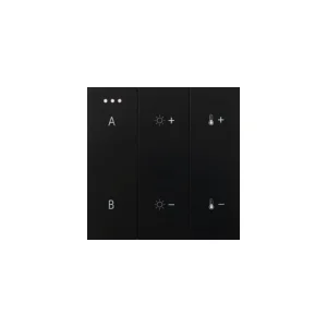 SWITCH PANEL REMOTE CONTROL 2-GROUP BLUETOOTH WH biały