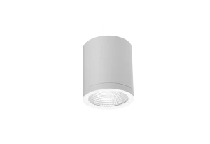 CONYON IP54 10W CCT SWITCH WH oprawa natynkowa biały