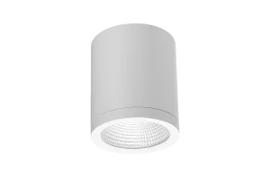 CONYON IP54 15W CCT SWITCH WH oprawa natynkowa biały