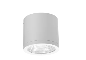 CONYON IP54 25W CCT SWITCH WH oprawa natynkowa biały
