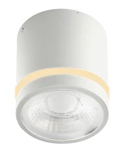 VICI IP44 12W CCT SWITCH WH oprawa natynkowa biały