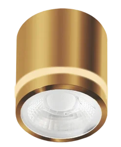 VICI IP44 12W CCT SWITCH GO oprawa natynkowa złoty