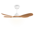 R69682130_2.png