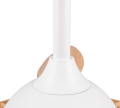 R69682130_5.png