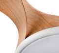 R69682130_6.png