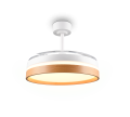 R69642101_1.png