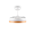 R69642101_2.png