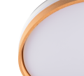 R69642101_5.png