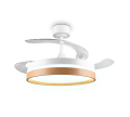 R69642101_8.png