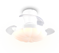 R69542131.png