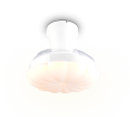 R69542131_1.png