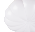 R69542131_2.png