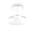 R69542131_3.png