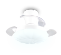 R69542131_7.png
