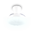 R69542131_8.png