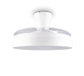 R69652101_2.png