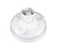 R69652101_5.png