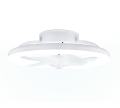 R69172131_8.png