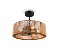 R66905036.png