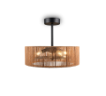 R66905036_1.png