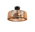R66905036_2.png