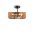 R66905036_3.png